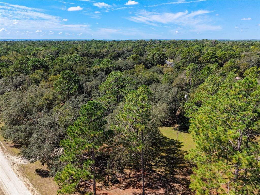 4750 SW 160TH COURT, OCALA, FL — photo 4 of 30