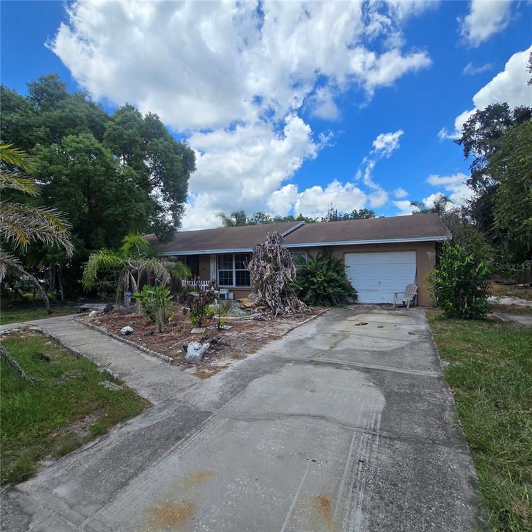 A single-story house with a concrete driveway, a one-car garage, and a landscaped front yard — 5127 BLACK BIRCH TRAIL, MULBERRY, FL