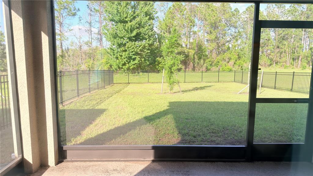 A view of a grassy backyard enclosed by a black metal fence from a screened-in patio — 2816 SWOOPING SPARROW DRIVE, ST CLOUD, FL