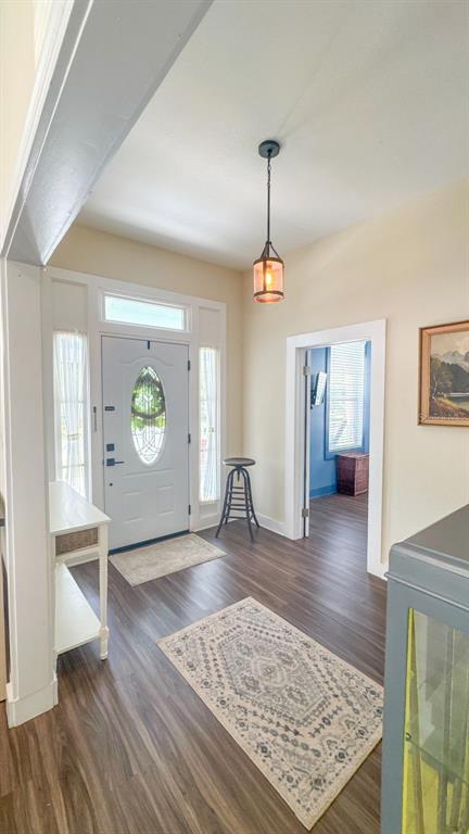 An entryway features a white front door, wood-look flooring, a pendant light, and two rugs — 520 S JACKSON AVENUE, BARTOW, FL