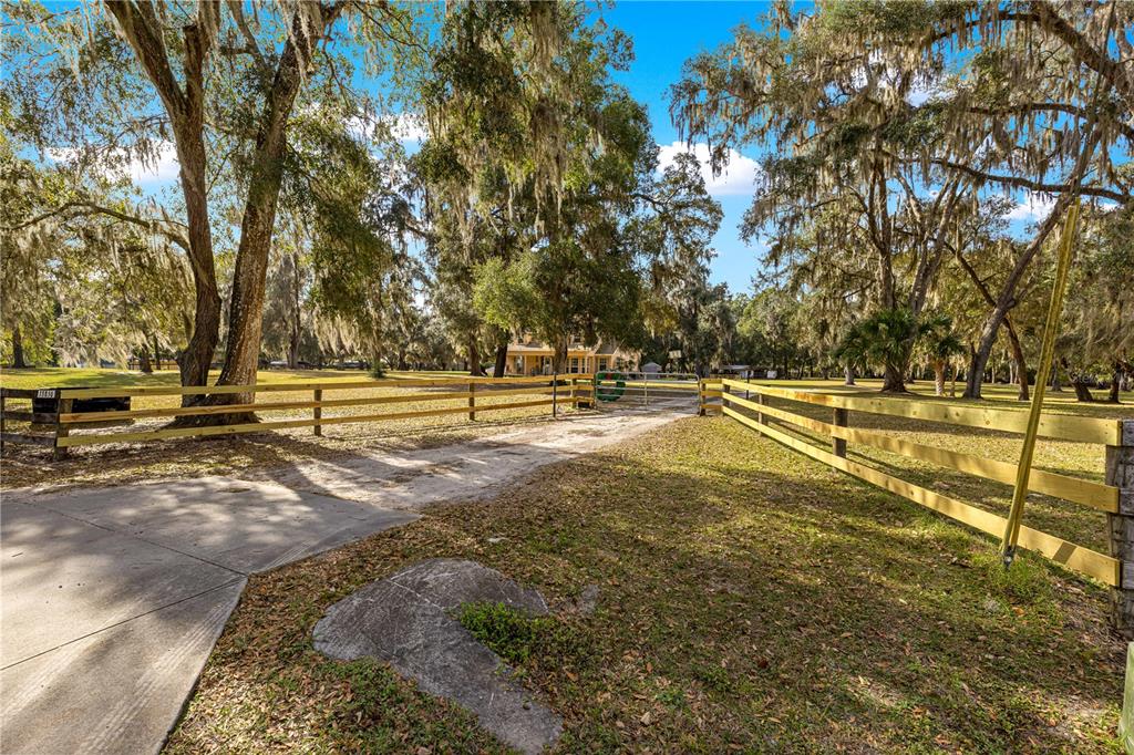 A concrete driveway leads through a wooden fence toward a house surrounded by oak trees — 13850 NE 47TH AVENUE, ANTHONY, FL
