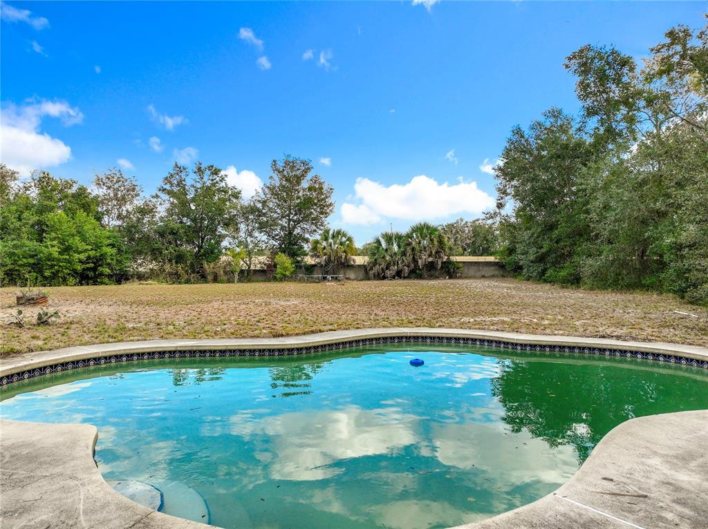 A backyard swimming pool with green water sits in front of a large, grassy lot — 1833 CROWLEY CIRCLE, LONGWOOD, FL