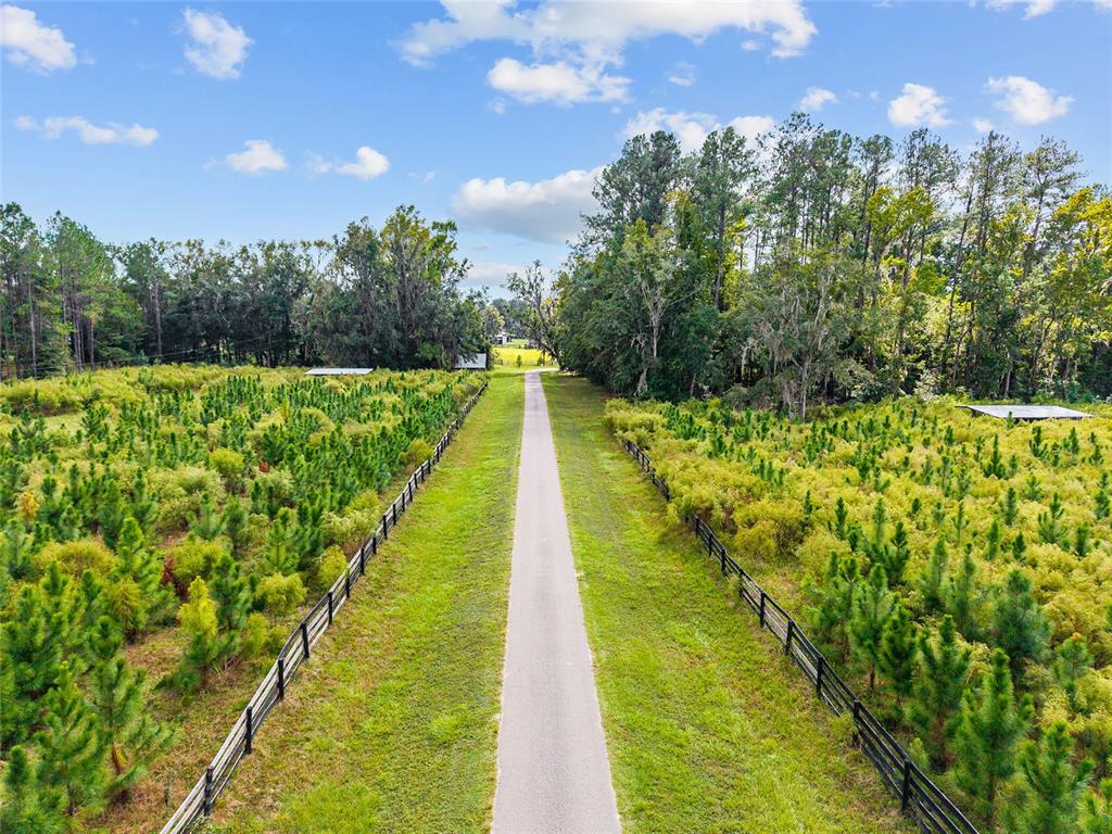 An aerial view shows a paved driveway flanked by young pine trees and black fencing — 8543 NW 71 TERRACE, GAINESVILLE, FL