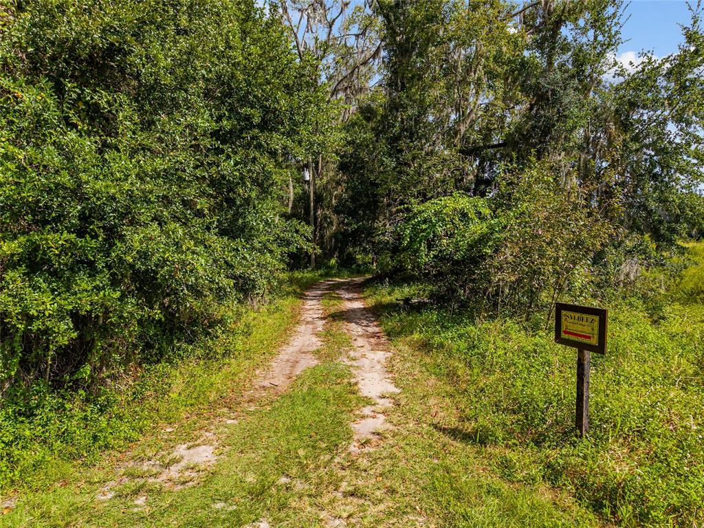 A dirt path leads into a wooded area with a small sign on the right — 8543 NW 71 TERRACE, GAINESVILLE, FL