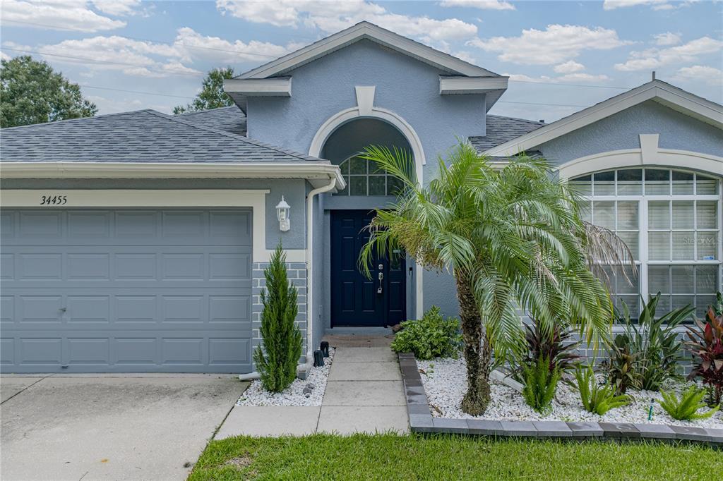 A blue single-story house with a garage, arched entryway, and a palm tree in front — 34455 CLIFFCREEK COURT, WESLEY CHAPEL, FL