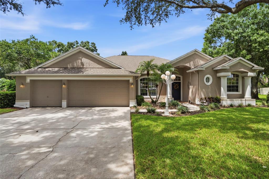 A single-story house with a two-car garage, concrete driveway, and large trees in the yard — 13756 DOWLING LANE, ODESSA, FL