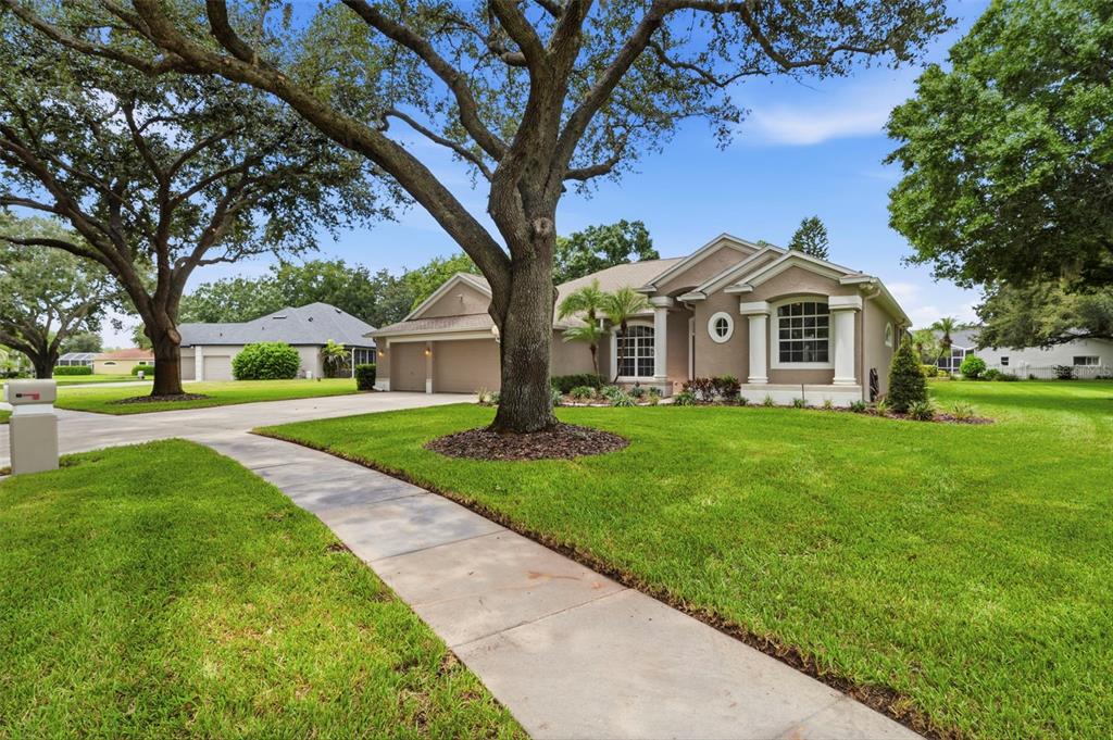 A single-story house with a beige exterior, a concrete driveway, and large oak trees — 13756 DOWLING LANE, ODESSA, FL