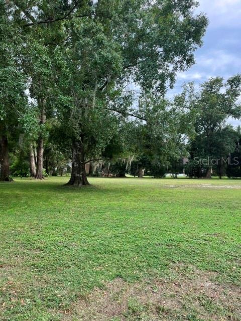 A grassy, open lot is surrounded by large, mature trees under a cloudy sky — 1034 BRIARWOOD DRIVE, WAUCHULA, FL