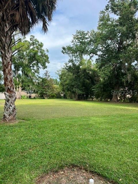 A large, grassy backyard features a prominent palm tree and mature trees in the background — 1034 BRIARWOOD DRIVE, WAUCHULA, FL