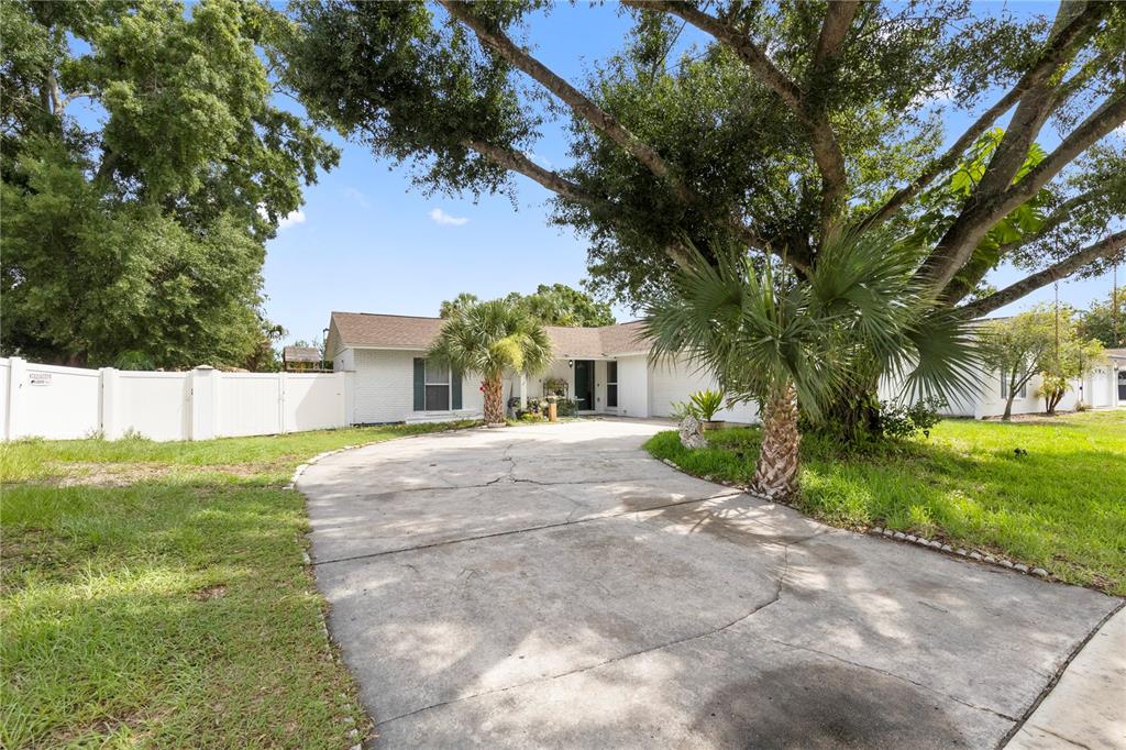 A white brick house features a concrete driveway and palm trees under a large tree — 7529 ARMAND CIRCLE, TAMPA, FL