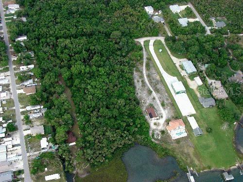 An aerial view shows a wooded lot adjacent to a residential property with a pool — MYRTLE STREET, EDGEWATER, FL