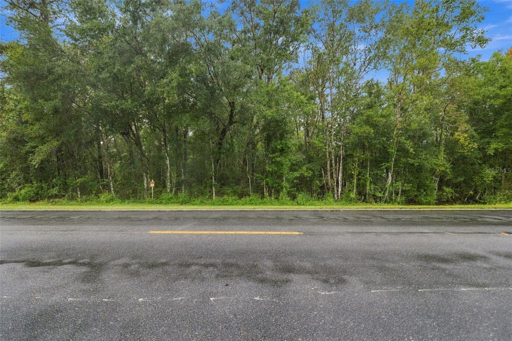 000 EMERSON ROAD, BROOKSVILLE, FL — photo 2 of 14
