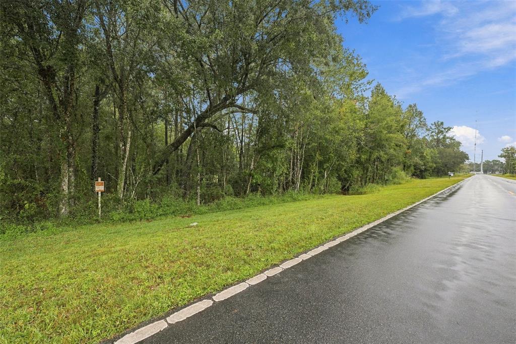 000 EMERSON ROAD, BROOKSVILLE, FL — photo 3 of 14
