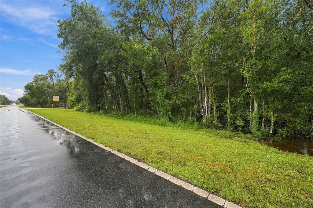 000 EMERSON ROAD, BROOKSVILLE, FL — photo 4 of 14