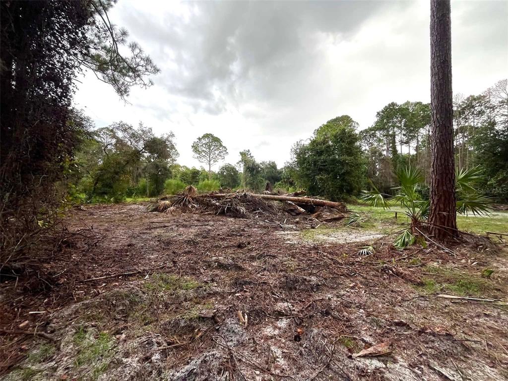 334 REDWOOD BOULEVARD, GEORGETOWN, FL — photo 3 of 11