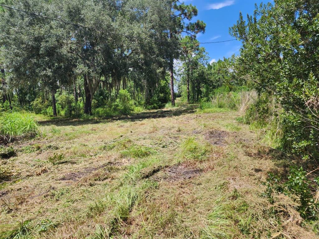 A cleared, grassy lot surrounded by mature trees under a bright blue sky — 7244 GROVELAND FARMS ROAD, GROVELAND, FL