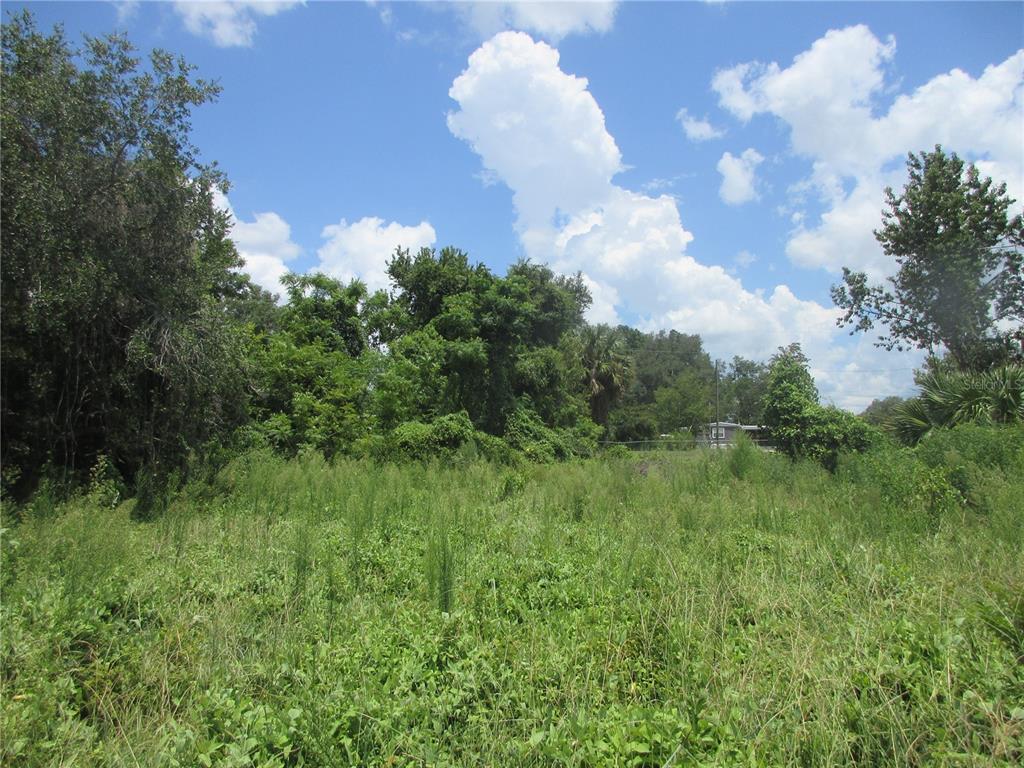 A grassy, overgrown vacant lot is surrounded by dense trees under a bright blue sky — TBD SE 18TH STREET, SILVER SPRINGS, FL