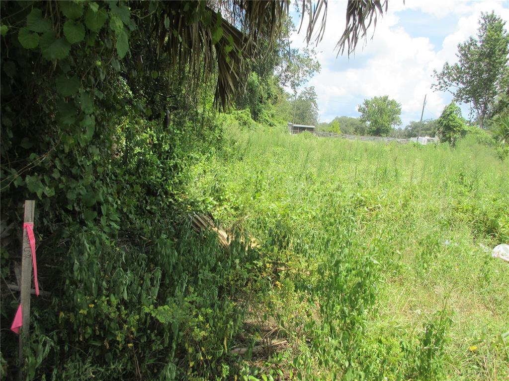 An overgrown, grassy vacant lot features a wooden survey stake with pink flagging tape — TBD SE 18TH STREET, SILVER SPRINGS, FL