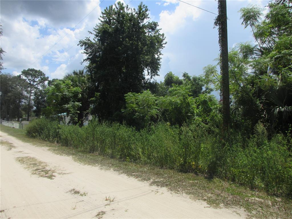 A dirt road runs alongside a densely wooded, overgrown lot under a cloudy sky — TBD SE 18TH STREET, SILVER SPRINGS, FL