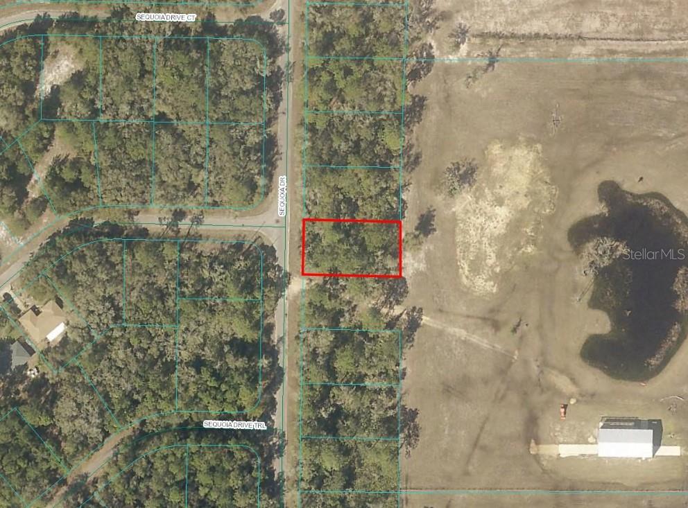 This is an aerial map showing a rectangular plot of land outlined in red — SEQUOIA DRIVE, OCKLAWAHA, FL