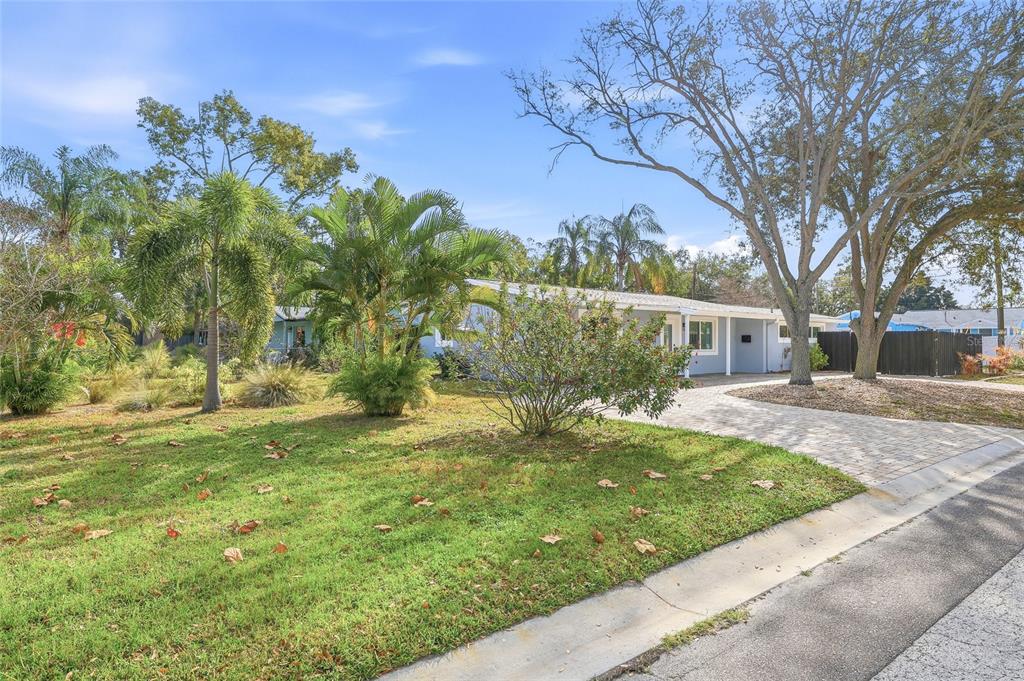 A single-story house with a paved driveway, palm trees, and a grassy front yard — 4095 LOCUST STREET NE, ST PETERSBURG, FL