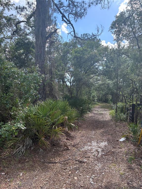 A dirt path leads through a wooded area with tall trees and palmetto bushes — 16464 NE 35 ROAD, CITRA, FL
