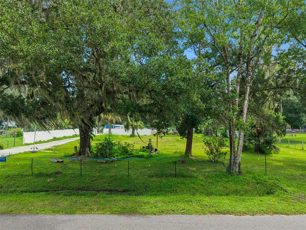1003 SAINT CATHERINE AVENUE, CHRISTMAS, FL — photo 2 of 18