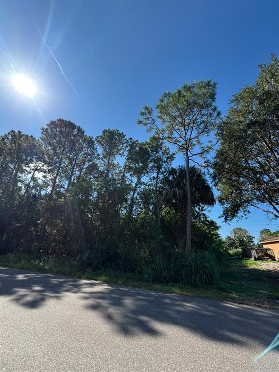 1042 SIBONEY STREET NW, PALM BAY, FL — photo 2 of 6
