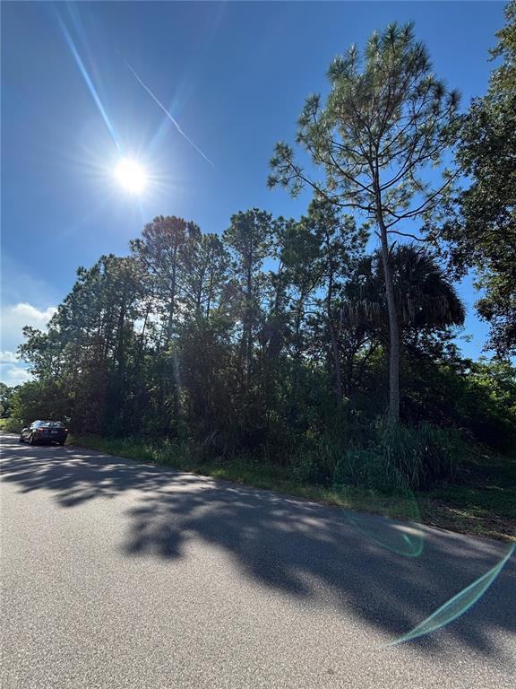1042 SIBONEY STREET NW, PALM BAY, FL — photo 3 of 6