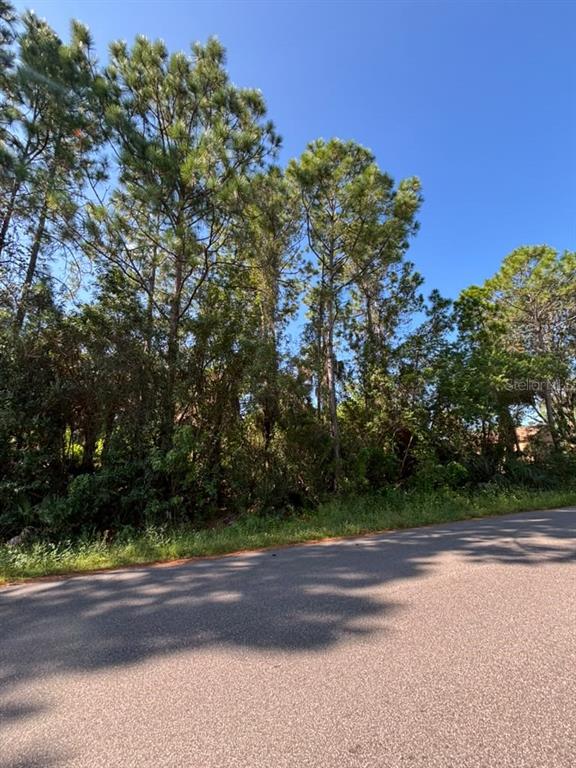 1042 SIBONEY STREET NW, PALM BAY, FL — photo 5 of 6