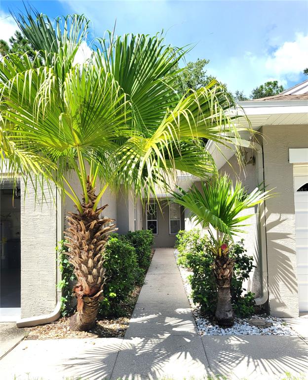 4343 LAKESHORE DRIVE, PALM HARBOR, FL — photo 2 of 45