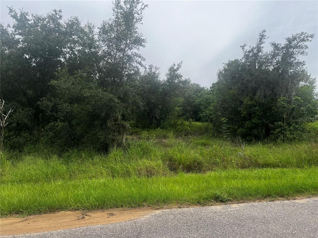 2370 LAKE EASY ROAD
