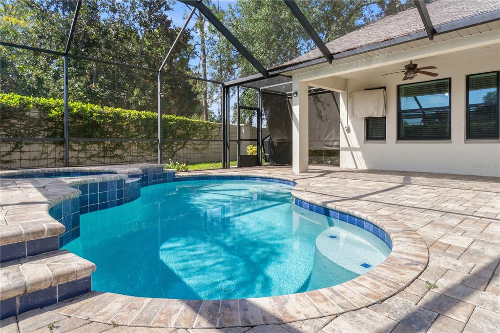 A screened-in patio features a swimming pool with a raised spa and paver decking — 5824 FISH CROW PLACE, LAND O LAKES, FL