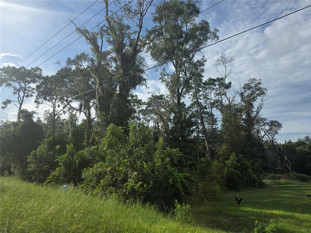 158-A CORTEZ BLVD., DADE CITY, FL — photo 3 of 18