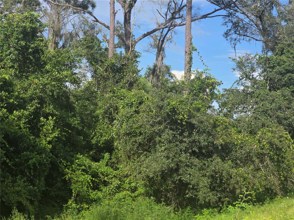 158-A CORTEZ BLVD., DADE CITY, FL — photo 4 of 18