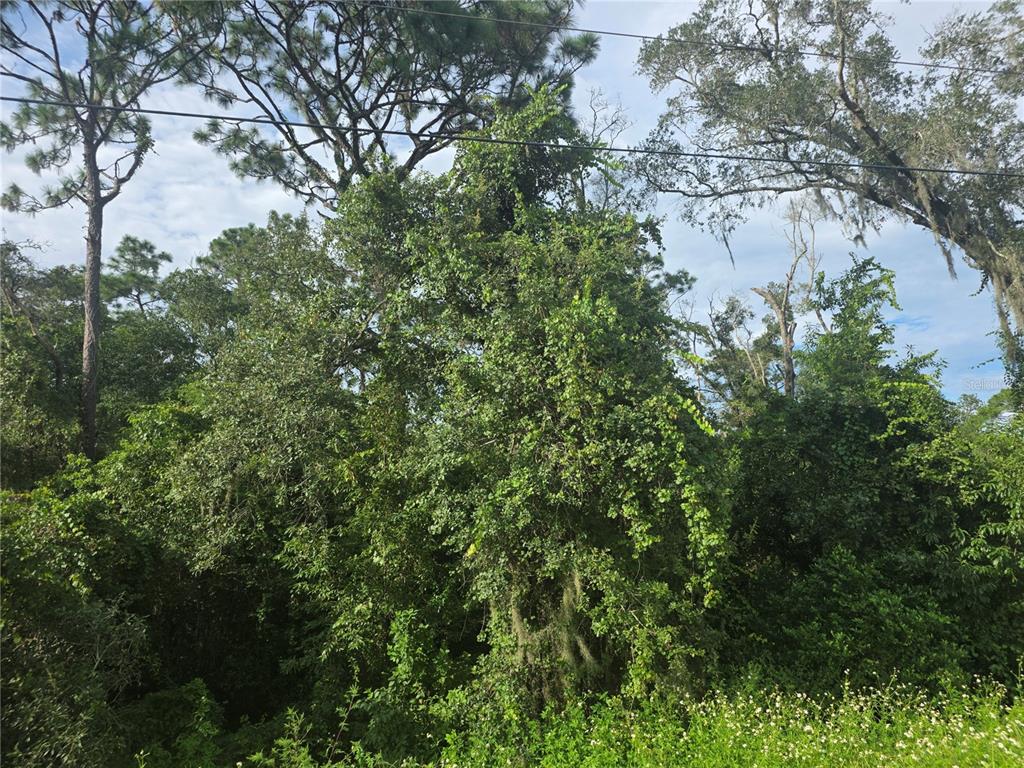 158-A CORTEZ BLVD., DADE CITY, FL — photo 5 of 18