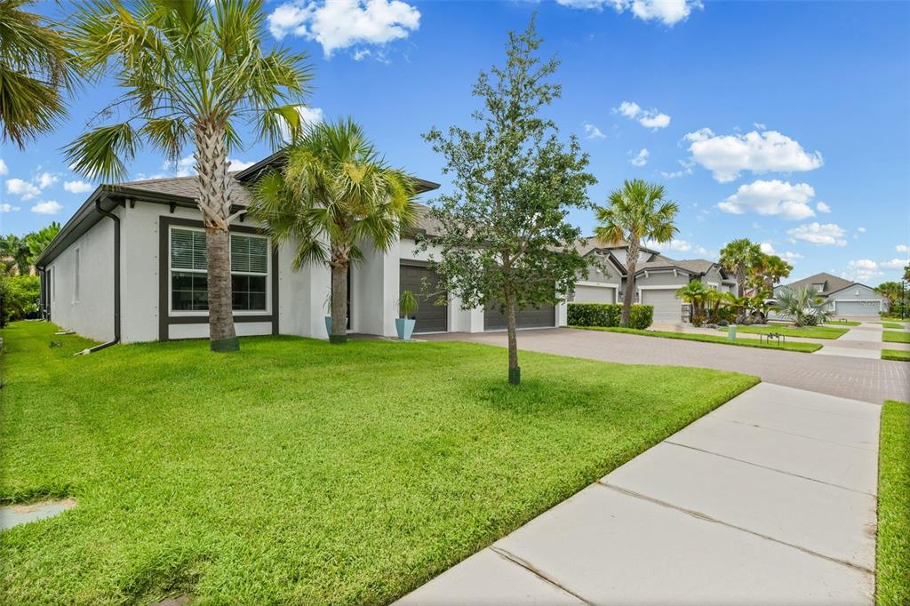 A single-story house with a white exterior, a paved driveway, and palm trees in the yard — 1024 FERNLEAF RUN, BRADENTON, FL