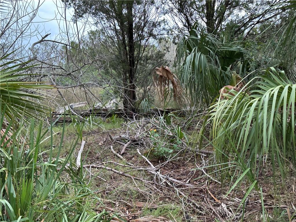 12345 W Standish DRIVE, HOMOSASSA, FL — photo 2 of 6