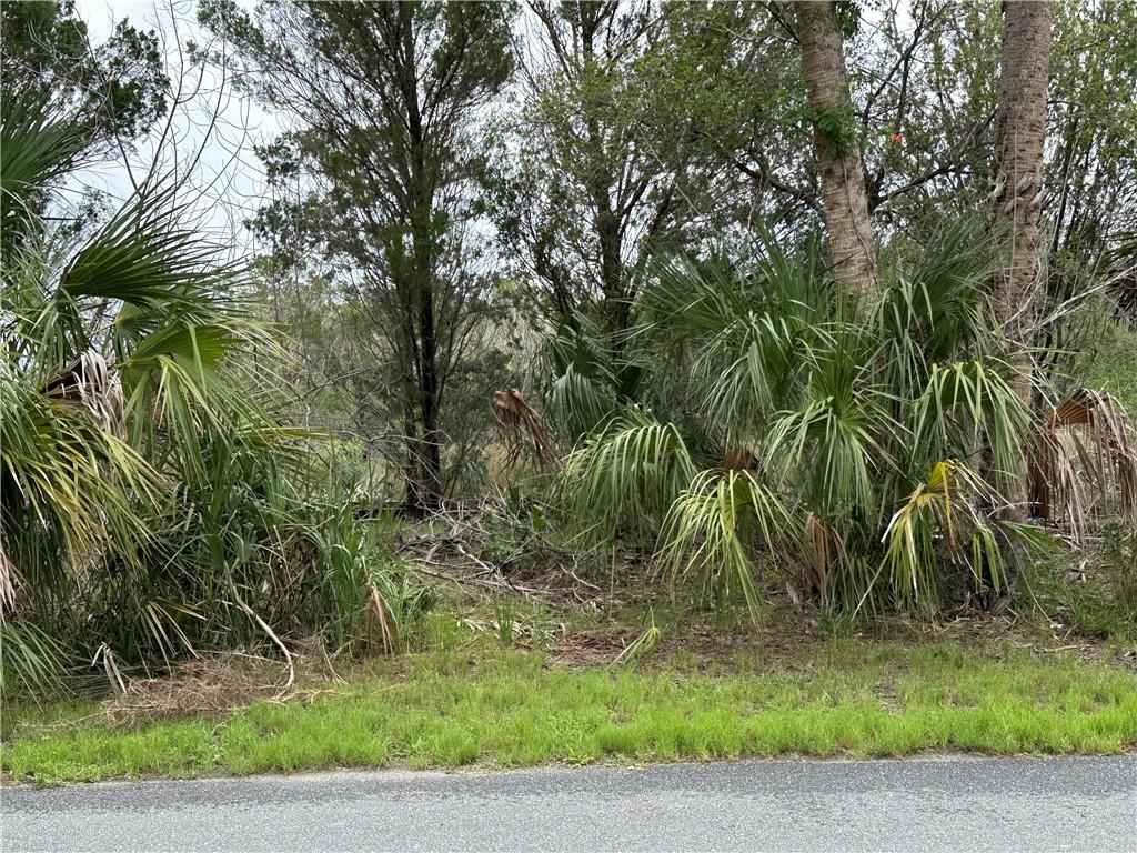 12345 W Standish DRIVE, HOMOSASSA, FL — photo 3 of 6