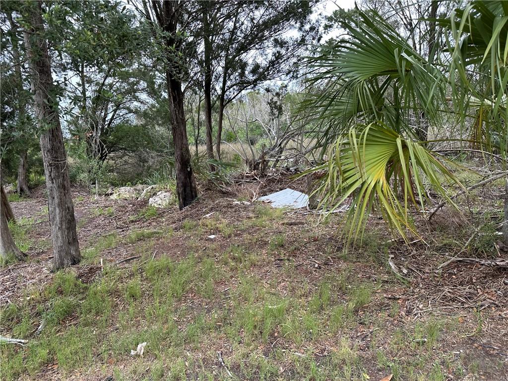 12345 W Standish DRIVE, HOMOSASSA, FL — photo 4 of 6