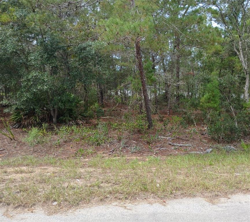 SE FISHER COURSE, OCKLAWAHA, FL — photo 2 of 4