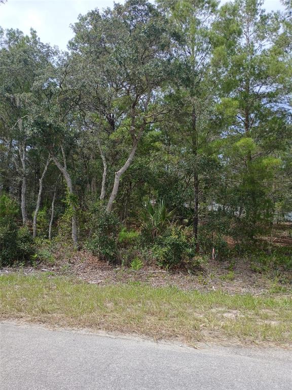 SE FISHER COURSE, OCKLAWAHA, FL — photo 3 of 4