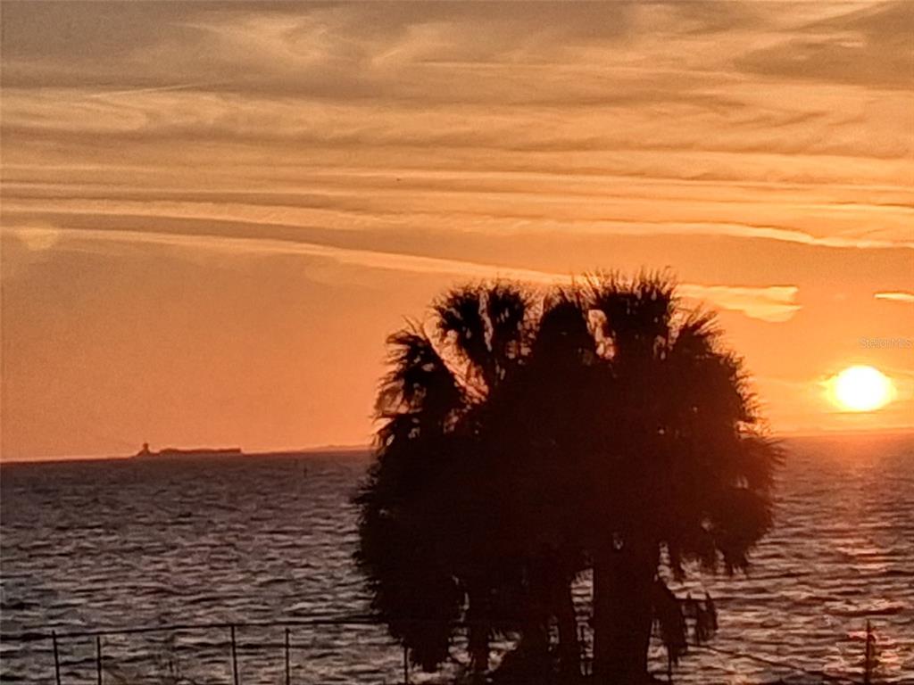 A silhouette of a palm tree stands against a sunset over the ocean — 611 B DESTINY DRIVE, RUSKIN, FL