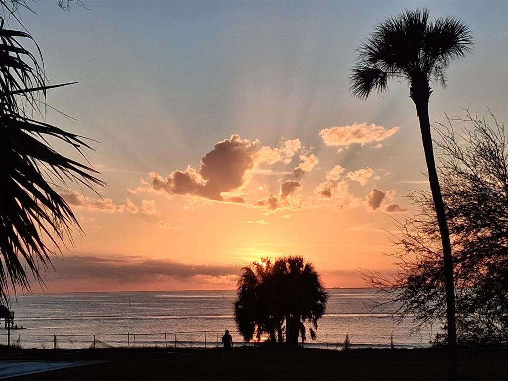 A silhouette of palm trees and a person against a sunset over the ocean — 611 B DESTINY DRIVE, RUSKIN, FL