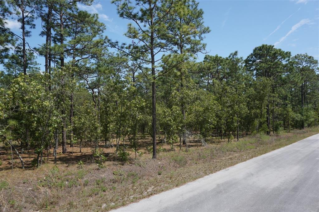 TBD NW TREE TOP ROAD