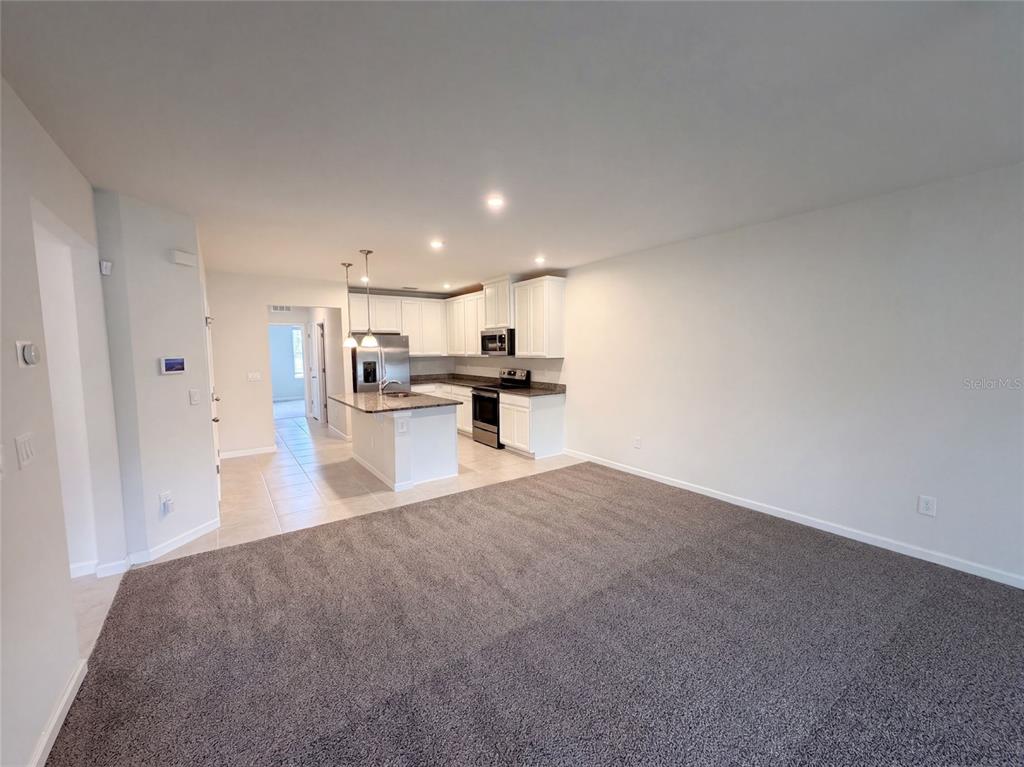 An open-concept room features gray carpeting, white walls, and a kitchen with white cabinetry — 17917 TURNING LEAF CIRCLE, LAND O LAKES, FL