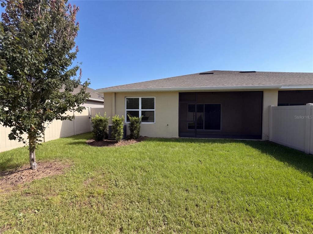 The exterior of a house features a grassy backyard, a screened-in patio, and a tree — 17917 TURNING LEAF CIRCLE, LAND O LAKES, FL