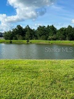 A grassy lawn overlooks a pond with a line of trees in the background — 17973 DAIRY FARM COURT, LAND O LAKES, FL