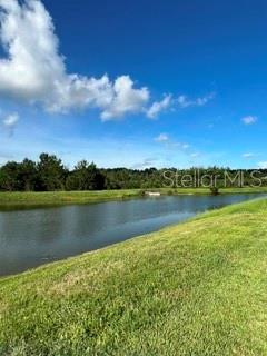 A grassy bank slopes down toward a pond under a bright blue sky with clouds — 17973 DAIRY FARM COURT, LAND O LAKES, FL