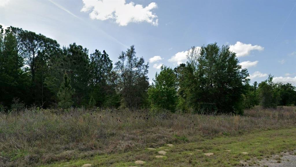 A view of a grassy, undeveloped lot with scattered trees under a blue sky — 8085 N SALERNO WAY, CITRUS SPRINGS, FL